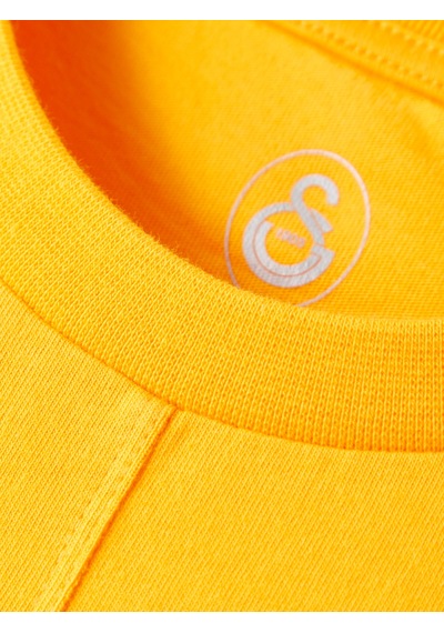 Gsstore Galatasaray Erkek T-shirt E252098 Sarı