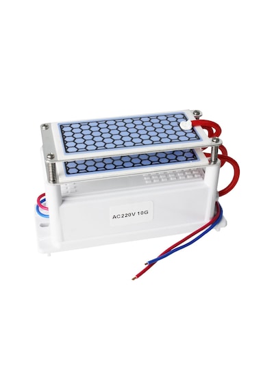 Taşınabilir Seramik Ozon Jeneratörü İki Yapraklı Hava Temizleme Cihazı Sterilizasyon Aktif Oksijen Arıtma Cihazı 220v 10g