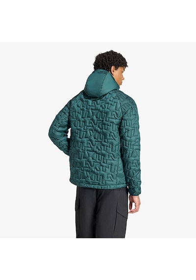 Adidas Terrex Xperior Primaloft Loose Fill İnsulated Kapüşonlu Erkek Yeşil Yürüyüş Montu Jl9744