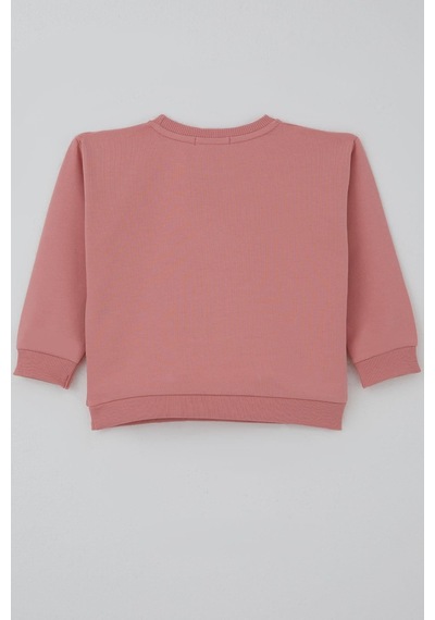 Breeze Kız Çocuk Sweatshirt Triko Çiçek Aplike Armalı 2-6 Yaş, Gülkurusu