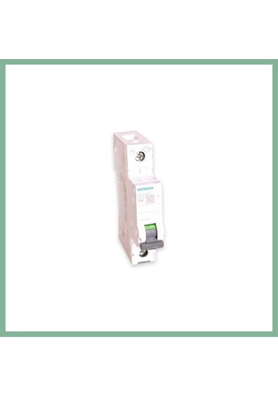 Bşkvirgo C50 1 Kutuplu N-otomat 1 Adet Bsk2026 Çok Renkli