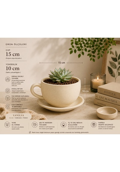 Momiko Beton Fincan Saksı -vanilya El Yapımı Sukulent Saksısı