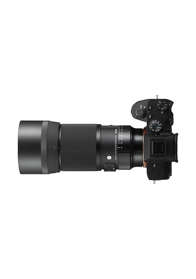 Sigma 105 MM F/2.8 DG DN Macro Art (Sony E) Uyumlu Lens