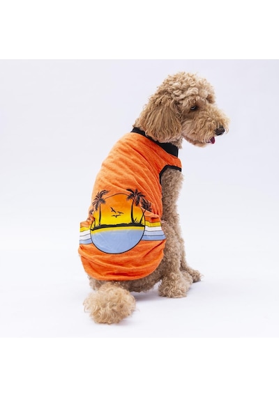 Turuncu Sunrise Büyük Köpek Tişörtü - Köpek Kıyafeti 15 Kg-45 Kg