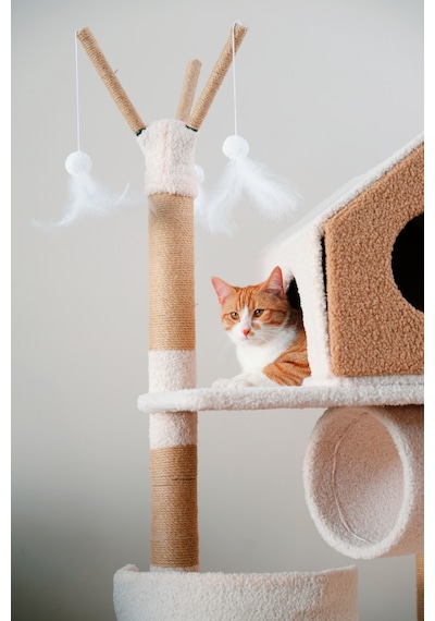 Kuara Bella Kedi Ağacı 3 Katlı Tırmalama Direği Yatak ve Oyuncaklı