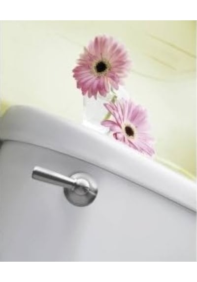 Brushed Nickel - Moen Dn6801bn Sage Inspirations Toilet Tank Lever, Brushed Nickel