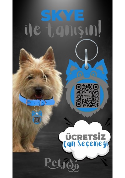 Petjoo 6.Skye Gri-Mavi Qr'lı Köpek Künyesi