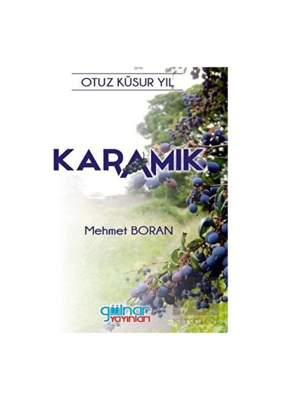 Karamık - Mehmet Boran - Gülnar Yayınları