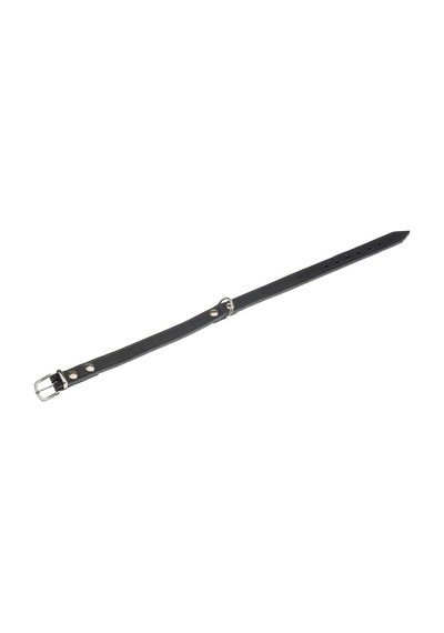 Deri Evcil Hayvan Boyun Tasması, 27 Cm-10 Mm, Siyah Çok Renkli
