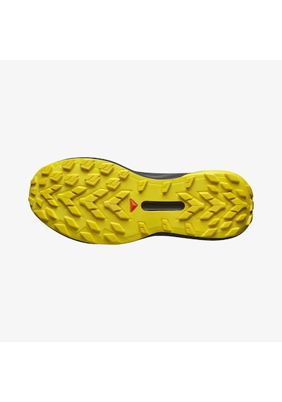 Salomon Salomon Genesis Erkek Patika Koşusu Ayakkabısı 4040 Çok Renkli
