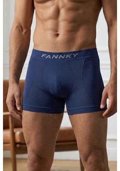 Fit Women Erkek Rahat Esnek Seamless 3 Lü Boxer Kahverengi