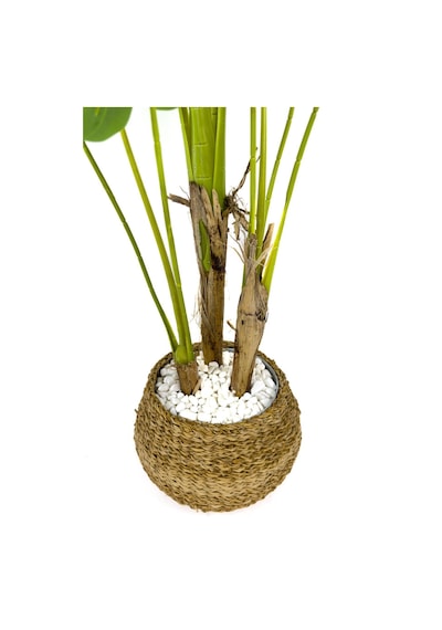 Biçiçek Yapay Monstera Ağacı Deve Tabani 150 Cm Geoi̇t Hasir Saksıda