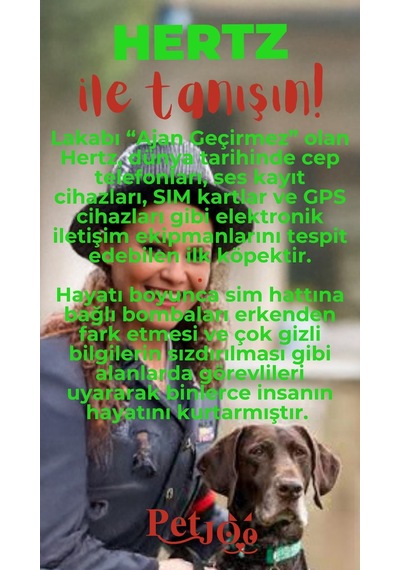 Petjoo 26.Hertz Kırmızı-Yeşil Qr'lı Köpek Künyesi