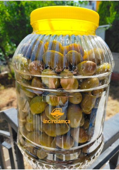 Yeşil Zeytin 3 Kg