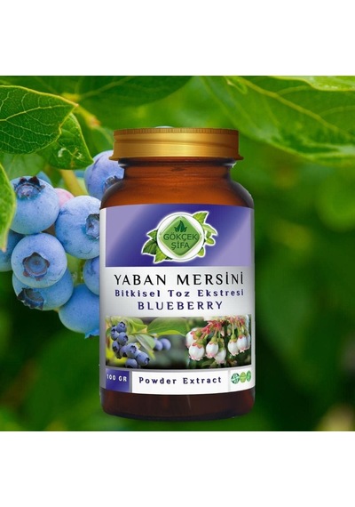 Gökçek Şifa Yaban Mersini Blueberry Toz Ekgerginliki 100 Gr Cam Kavanoz