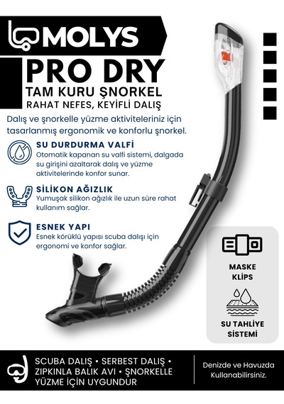 Molys Angel Dalış Maskesi + Antı Fog Buğu Önleyici Film + Pro Full Dry Tam Kuru Şnorkel + Maske Koruma Kutusu Set Halinde Siyah - Siyah