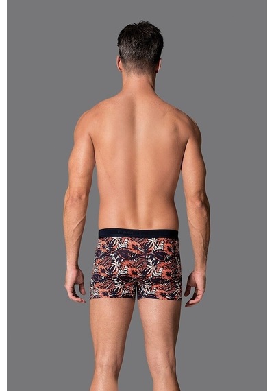 Eros 019 Erkek Compact Yaprak Boxer Çok Renkli