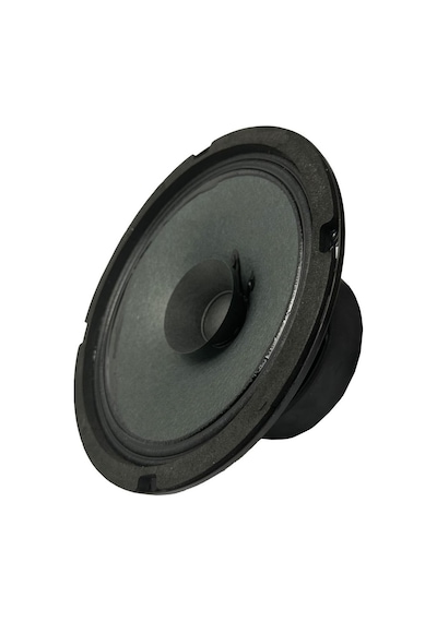 Lastvoice Ayn-6 Full Kağıt 100 Watt 8 Ohm 16 Cm 6 İnç Hoparlör Adet