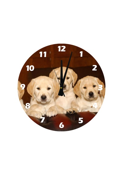 Ti-play Labrador Yavruları 30x30cm Akrilik Dekoratif Modern Duvar Saati ÇOk Renkli
