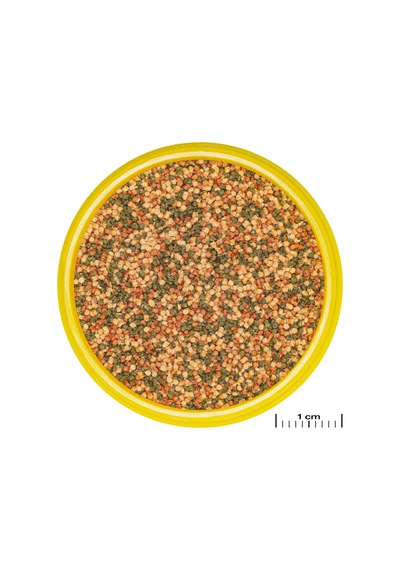 Jbl - 466 - Pronovo Bel Grano - Csmo-tex - S 100ml