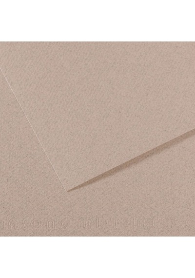 Canson Fon Kartonu Dokulu Mı-teıntes Sh Canmt 50x65 160 Gr Grey 426