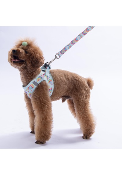 Joyful Colors Göğüs Tasması Ve Sevk Kayışı Tasma Seti Gökkuşağı Desenli Kedi Köpek Göğüs Tasması Seti Mavi