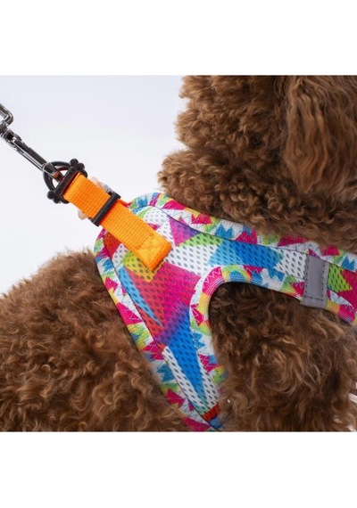 Pawstar Air Mesh Harness Göğüs Tasması A26 Mosaic Large Mavi
