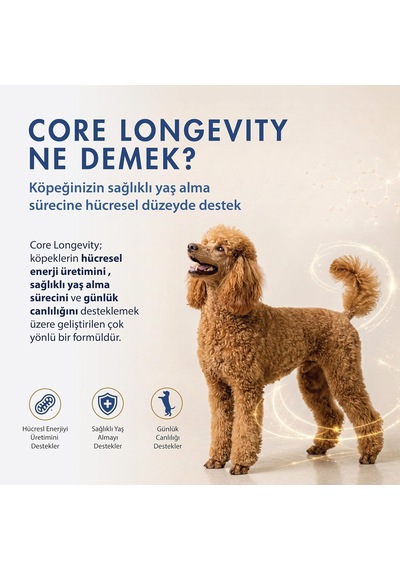 Core Longevity Köpek, Koenzim Q10, Nad+, Pqq, Mantar Kompleksi, 60 Tablet