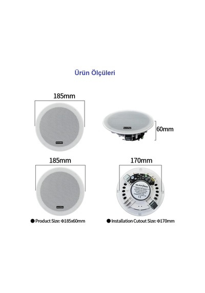 Surpass SP-BT610 Alçıpan Tavan Bluetooth Hoparlör