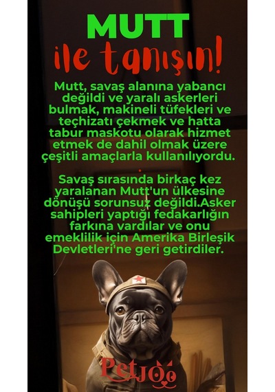 Petjoo 10.Mutt Kırmızı-Yeşil Qr'lı Köpek Künyesi