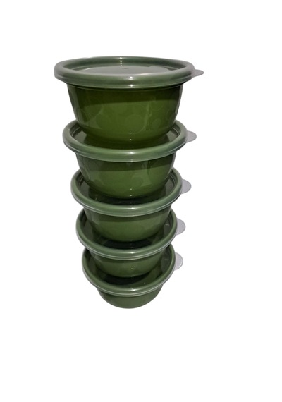 Hobby Life Tick Tock Hava Sızdırmaz Saklama Kabı 5'li Set 5 x 250 ML Yeşil