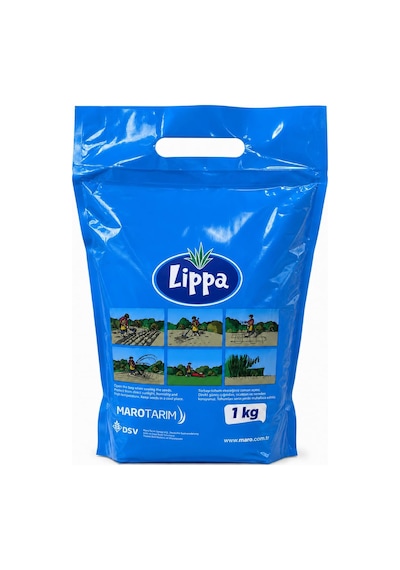Lippa Pro Special 4s Çim Tohumu, 4 Bileşenli Özel Karışım, 1 Kg