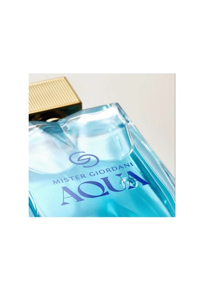 Giordani Gold Mister Giordani Aqua Eau De Parfum Odunsu