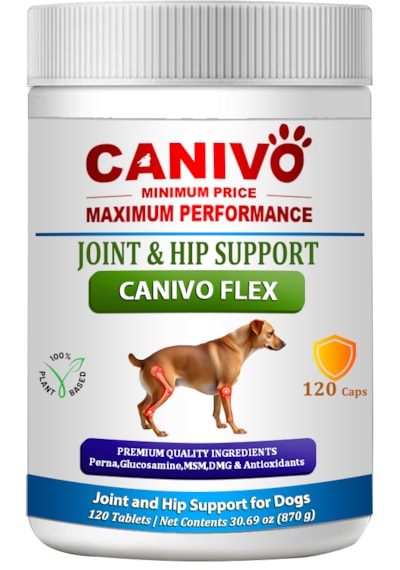 Canivo Flex Eklem Ve Kalça Destekleyici