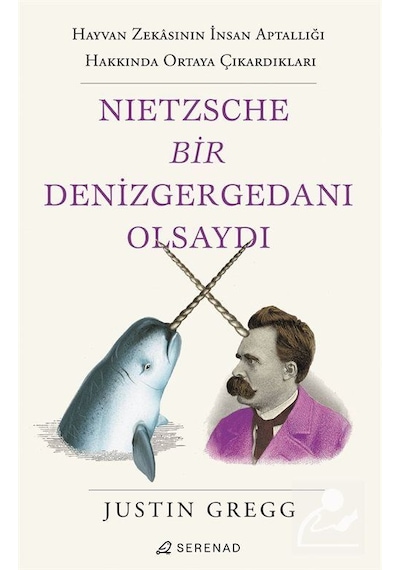 Nietzsche Bir Denizgergedanı Olsaydı - Justin Gregg - Serenad