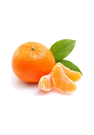 3 Yaş Aşılı Satsuma Mandalina Fidanı