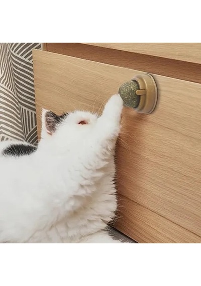 Mey İthalat Kedi Nanesi Oyun Topu