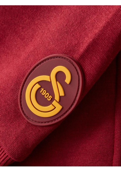 Galatasaray E252113 Hoodıe Bordo Erkek Sweatshirt Bordo