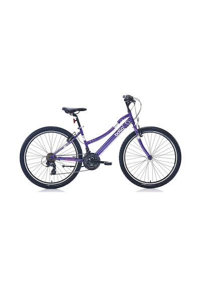 Bianchi Bella 26 26 Jant 21 Vites 38 Cm V-Fren Dağ Bisikleti-Efl