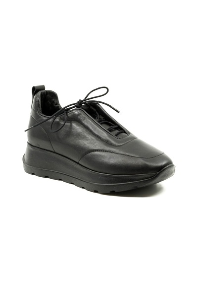 Dexter Tp22126-61 Çok Renkli
