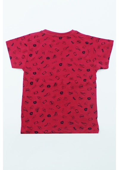 Hçm Erkek Çocuk Tshirt Baskılı A29 Kırmızı