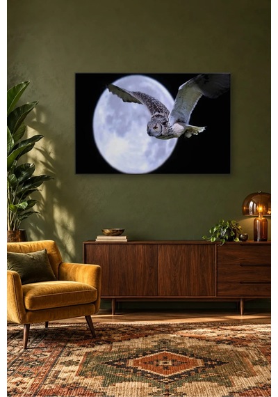 Fida Dolunayın Önünde Uçan Baykuş Canvas Tablo Çok Renkli