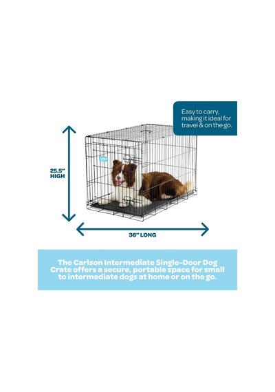 Güvenli Ve Katlanabilir Tek Kapılı Metal Köpek Kasası, Orta