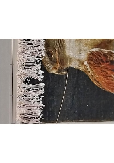 İran El Dokuması Tablo Halı Şahin Ebat: 40 X 76 Cm Çok Renkli