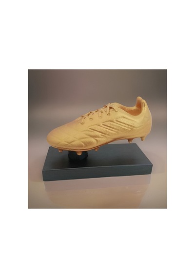 Fifa Altın Ayakkabı Ödülü Figürü - Kişiye Özel Isim Yazılabilir Golden Boot Award 20 Cm Diğer