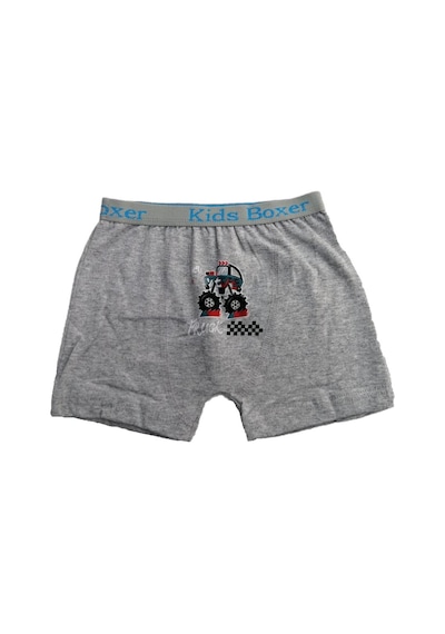 Sedef Yıldızı 12 Li Paket Sedef Yıldız Erkek Çocuk Likralı Boxer 1089 Gri
