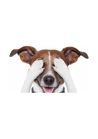 Terrier Sevimli Köpek Sticker Yapıştırma 18cm Model1