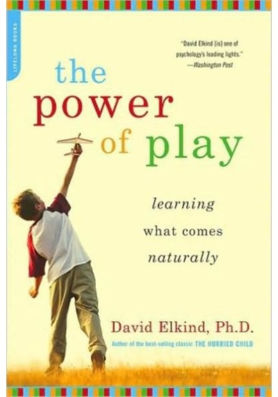 The Power of Play 9780738211107