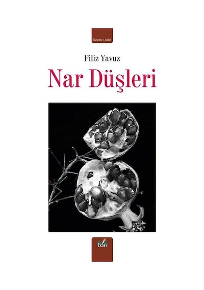 Nar Düşleri - Filiz Yavuz - İzan Yayıncılık