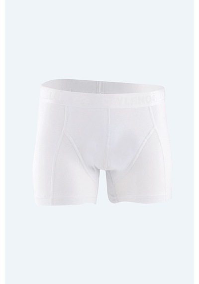 Mintev Beyaz Likralı Erkek Boxer 034 3 Adet